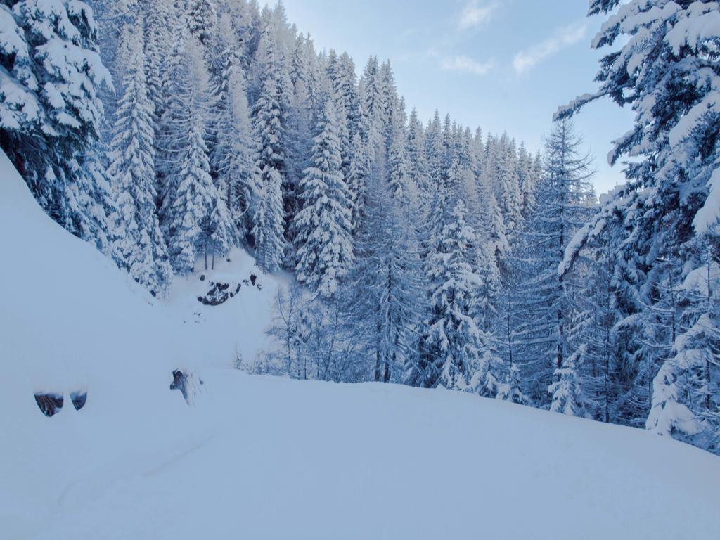 Chalet Skilift Rosswald Zewnętrze zdjęcie